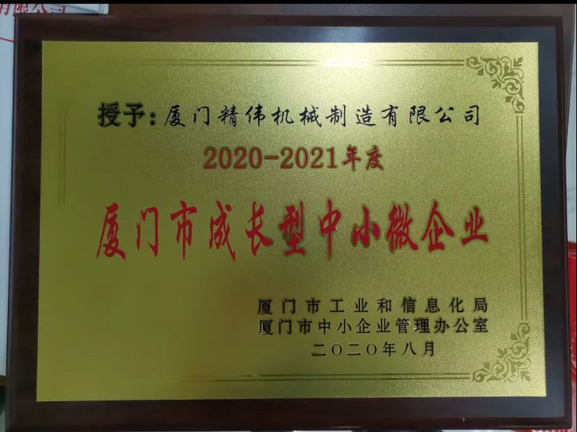 成(chéng)長型中(zhong)小微企(qi)業2020-2021